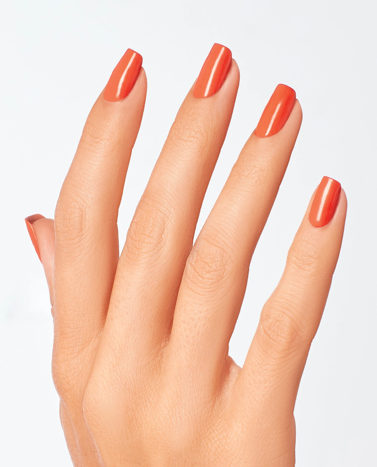 Dipping Powder My Chihuahua Doesn't Bite Anymore 4 Dipping Powder My Chihuahua Doesn't Bite Anymore - Image 2